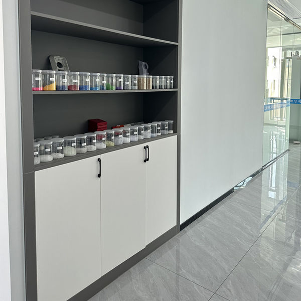 चीन Shenzhen Dingsheng Plasticization Co., Ltd. कंपनी प्रोफाइल